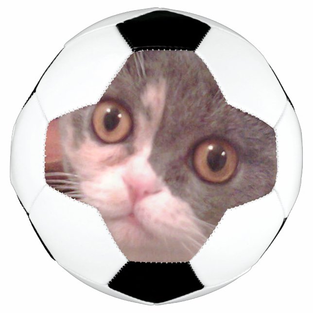Bola De Futebol Dobrado Escocês (Frente)