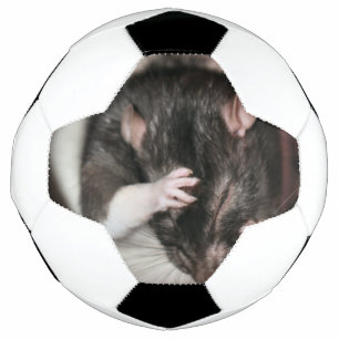 Bola De Futebol Dor de cabeça!