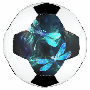 Bola De Futebol Dragonflies de lago
