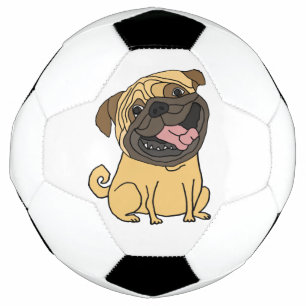 Bola De Futebol Engraçado Engraçado Cachorro Cachorro