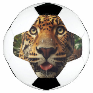 Bola De Futebol Escadas-leopardo enquanto Lapando Água na Selva