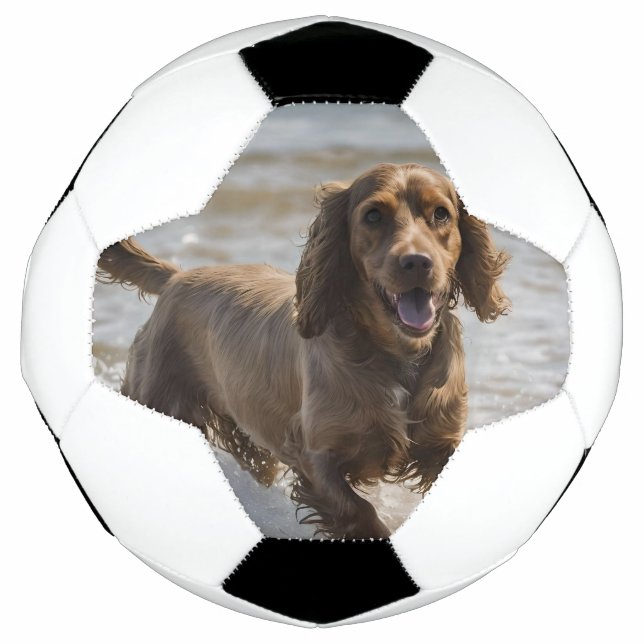 Bola De Futebol Feliz Dia de Diversão em Praia do Cocker Spaniel, (Frente)