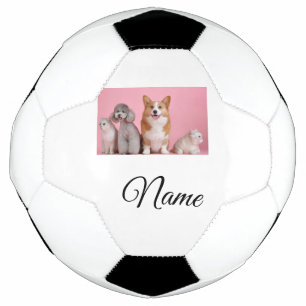 Bola De Futebol Foto personalizada de animal colorido simples adic