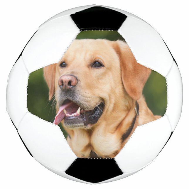 Bola De Futebol Foto Pet Personalizada (Frente)