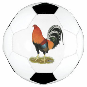 Bola De Futebol Gamecock Wheaten Rooster