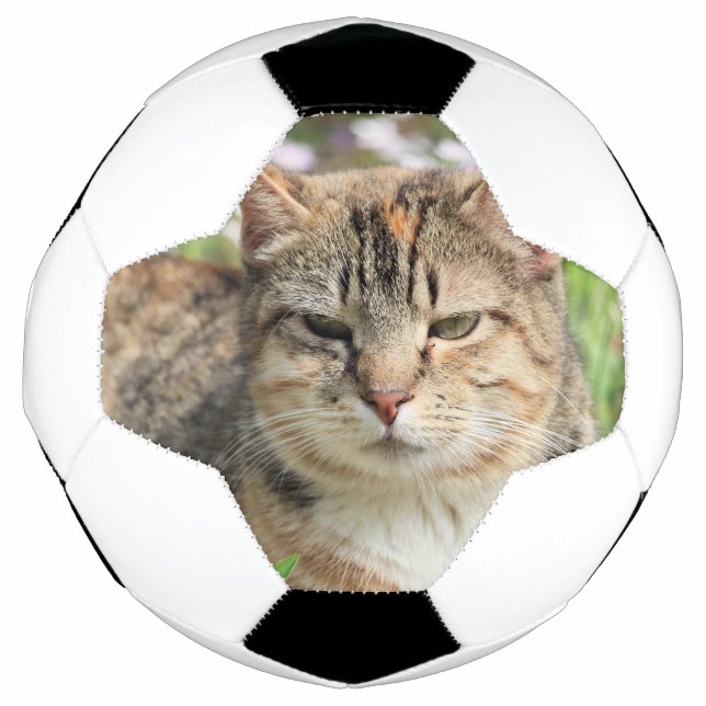 Bola De Futebol Gato (Frente)