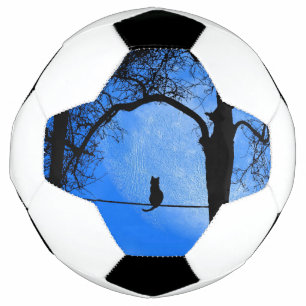 Bola De Futebol Gato numa Lua Azul Fio