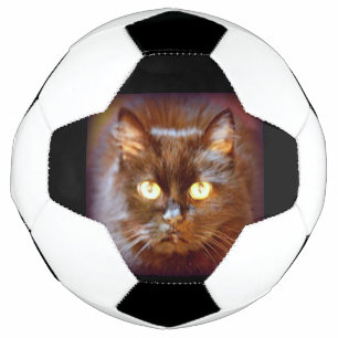 Bola De Futebol gato preto
