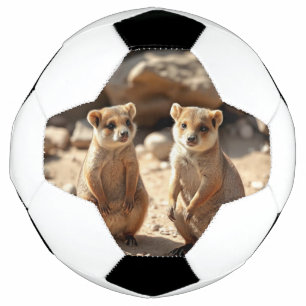 Bola De Futebol Gêmeos Quokka australianos,