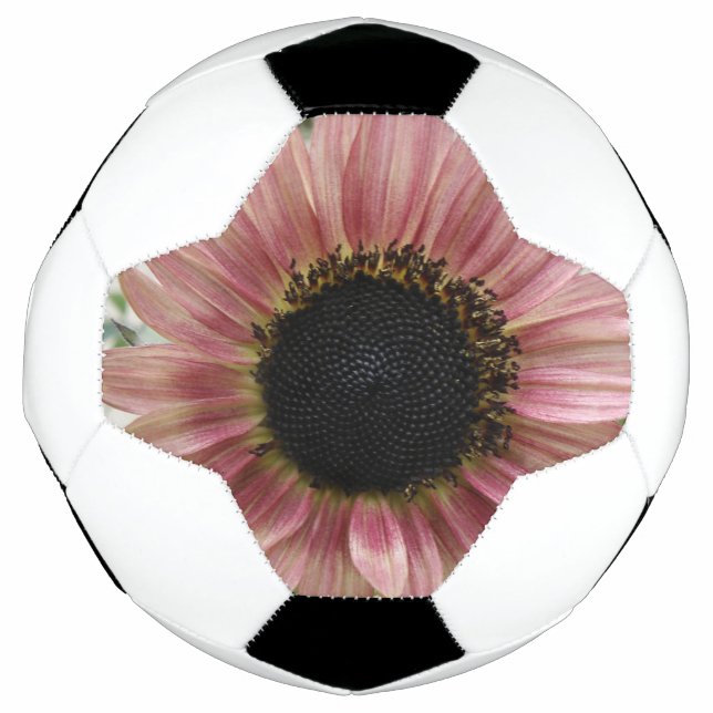 Bola De Futebol Girassol rosa pálido (Frente)