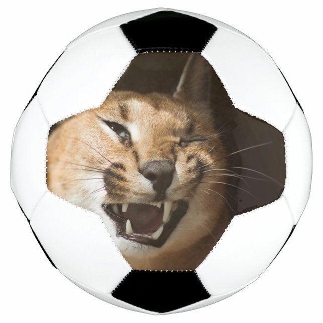 Bola De Futebol Goofy Lynx (Frente)
