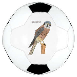Bola De Futebol Ilustração de ave do Kestrel Americano