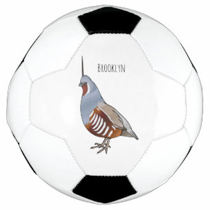 Bola De Futebol Ilustração de desenho animado de codorniz de monta