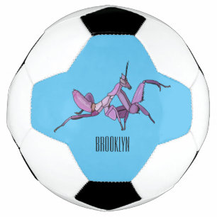 Bola De Futebol ilustração de desenho animado de louva-a-deus orqu