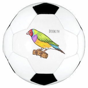 Bola De Futebol ilustração de desenho animado de pássaro finch gou