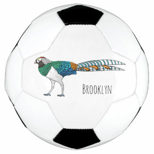 Bola De Futebol Ilustração de desenho animado de pássaros faisão d
