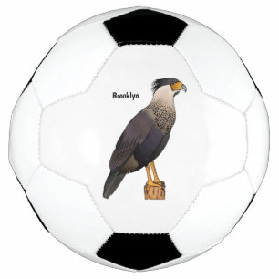 Bola De Futebol Ilustração de desenho animado do pássaro caracara