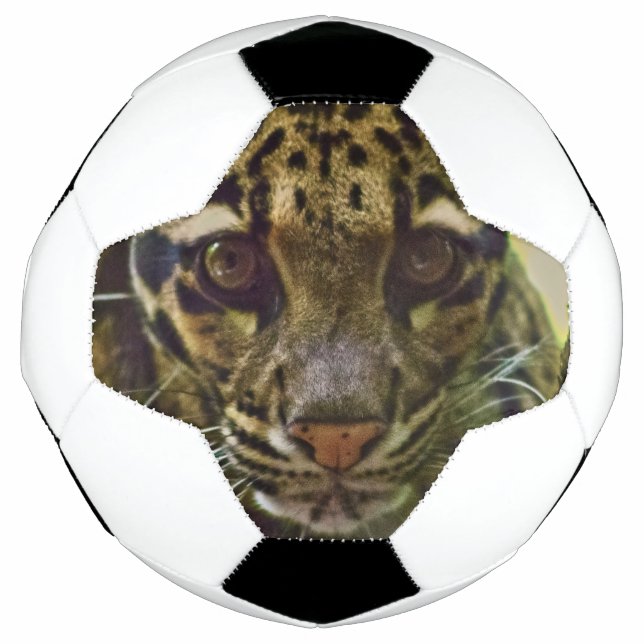 Bola De Futebol Leopardo nublado (Frente)