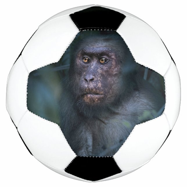 Bola De Futebol Macaco na selva (Frente)