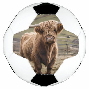 Bola De Futebol **"Majestade Furry: A Vaca do Planalto Wooly Brown