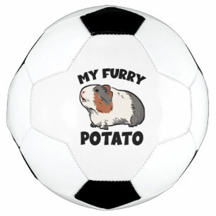 Bola De Futebol Minha cobaia peluda