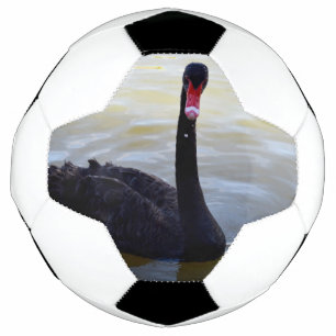Bola De Futebol Nadação Nadada Nadada Negra No Rio,