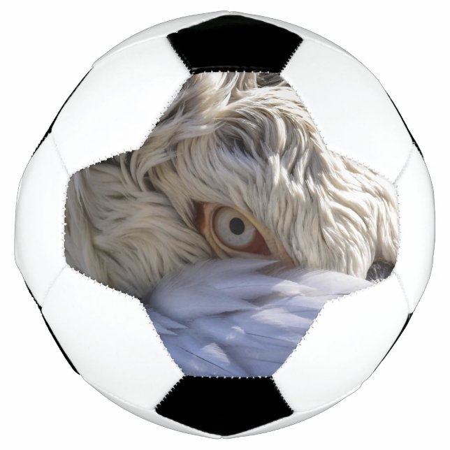 Bola De Futebol O Olho de um Pelicano (Frente)