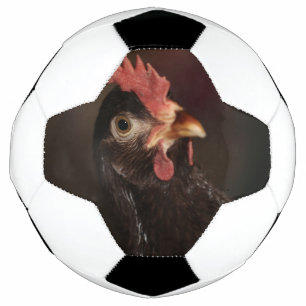 Bola De Futebol O quê?