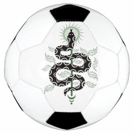 Bola De Futebol Oásis da Serpente