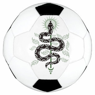 Bola De Futebol Oásis da Serpente