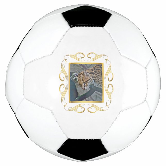 Bola De Futebol Ocelot enquadrado (Frente)