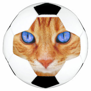 Bola De Futebol Olhos de Gato Cara Cavala vermelha Gato