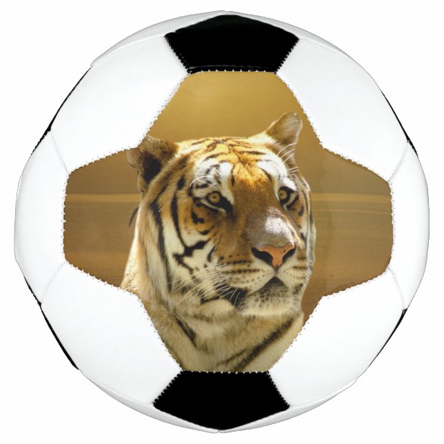 Bola De Futebol Ouro Tiger (Frente)