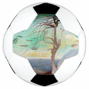 Bola De Futebol Paisagem Paisagem de Árvore Cedar do solitário