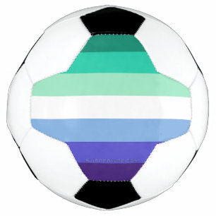 Bola De Futebol Paleta da bandeira de homens gays inclusiva trans