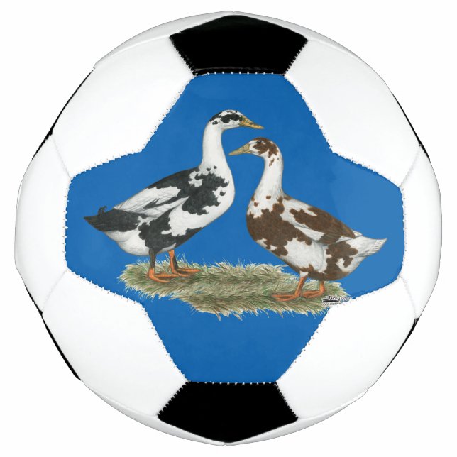 Bola De Futebol Par de Ancona (Frente)