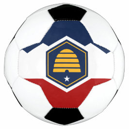 Bola de Futebol Patriótica com a Bandeira do Estad