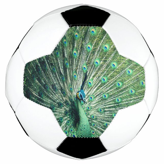 Bola De Futebol Peacock Strut (Frente)