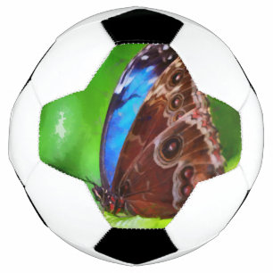 Bola De Futebol Pintura da borboleta