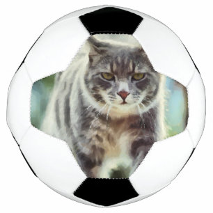 Bola De Futebol Pintura de gatos