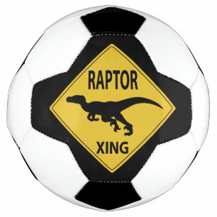 Bola De Futebol Raptor Xing