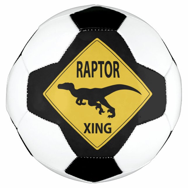 Bola De Futebol Raptor Xing (Frente)