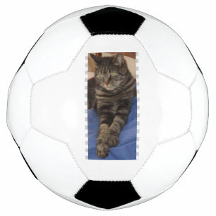 Bola De Futebol Regal Dave Football
