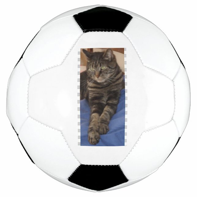 Bola De Futebol Regal Dave Football (Frente)