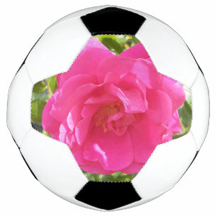 Bola De Futebol Rosa Rosa Rosa