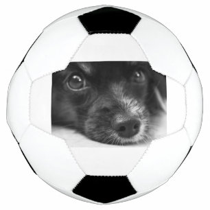 Bola De Futebol rosto de papillon