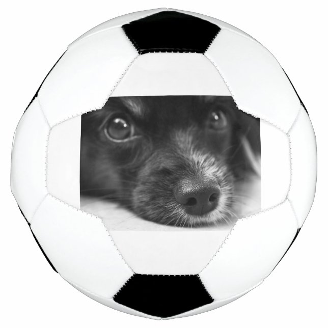 Bola De Futebol rosto de papillon (Frente)