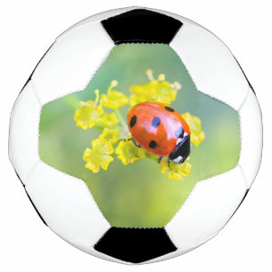 Bola De Futebol senhora por cima