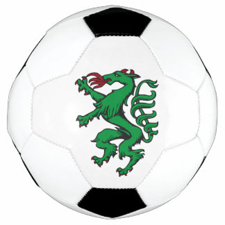 Bola De Futebol Steiermark Rot Grün Wappen Panther Österreich