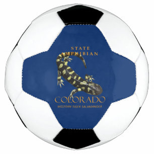 Bola De Futebol Território do Colorado Anfíbio O Tigre Barrado